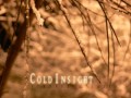 Cold Insight - Midnight Sun