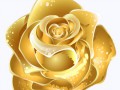 gold_PNG10967