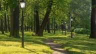 sad-kamennoostrovskogo-dvorca-160090big