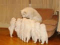 image (6)