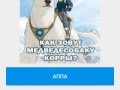 Test1