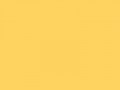 Светлый глубокий желтый	#FFD35F	255	211	95