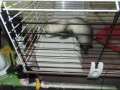 DSCN0939