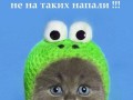 погода