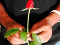 дарит-с-любовью розу