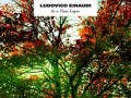 Ludovico Einaudi - Ludovico Einaudi - In a Time Lapse
