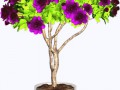 ExoticTrees