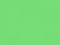 Пастельно-зеленый	#77DD77	119	221	119