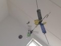 волнистые попугайчики космонавты