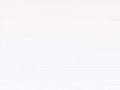 neon_otbl_whate_yapfiles.ru