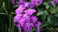IMG_0007 копия