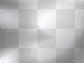 772786888_1982037