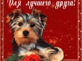 6896342684ed