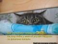 28.027