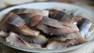 IMG_5449 копия1