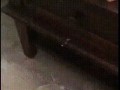 image-_4_