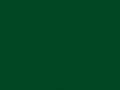 Глубокий зеленый	#004524