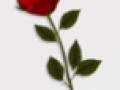 fon_5_4_arnusha