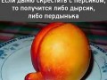 4f8f1affe11ea6dce5f5821fff64e4cb