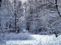 anigifЗИМА