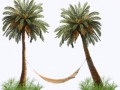 2 пальмы с гам и трав