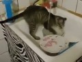 что делать... хозяева в интернете
