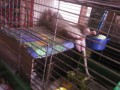 be1eb6318a24