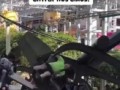 аттракцион сломался