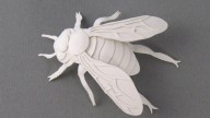 Miniature-Bee.-Paper-Sculpture-by-Elsa-Mora