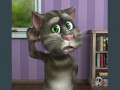 Игра говорящий кот Том