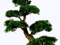 {8C775A7A-A3A8-50A6-8316-E73D7B2D225A}