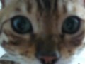 YwdqJoqtwR0