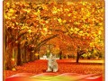 Осень---рыжий-котенок_01