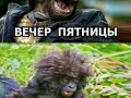 8e94a76a27fb1338f13444e7bab5f1c4