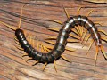 eeb5da576e0e8113cf27213b139be568