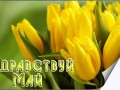 ЗДРАВСТВУЙ МАЙ...