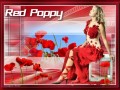 26.05.2020 Red poppy