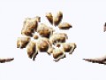 1542806520535_7107