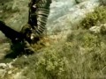 Hunting mountain eagles-Охота горных орлов-беркутов