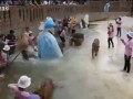 Туристы играют с тиграми в Таиланде