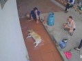 Корейцы опаливали порося, но что-то пошло не так
