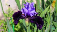 IMG_9776 копия