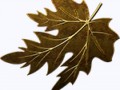 list06_yapfiles.ru