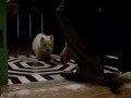 Собачка (Optifog Video - The Dog)