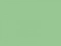 Очень светлый зеленый	#98C793	152	199	147