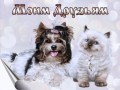 моим-друзьям