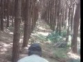 Как сделать просеку в лесу