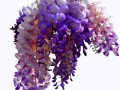 0_eedcf_51c4f8c4_XL
