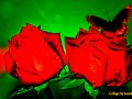 Коллаж Анимация от tane4ki 777 "Розы и Бабочка"