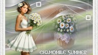 CHAMOMILE SUMMER